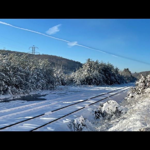 Meet your Posher, 🌹Anna🌹 - Picture 9 of 12